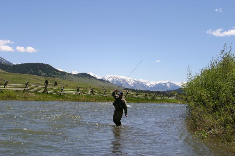 Sidechannel Fish On