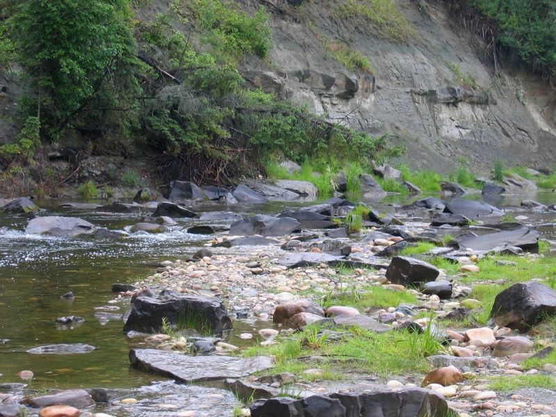 Tributary