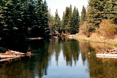May 30, 1998 --- North Raven River, Alberta
