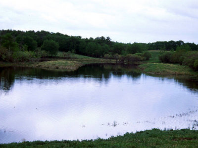 The Trout Pond at the MacNaughton Ranch