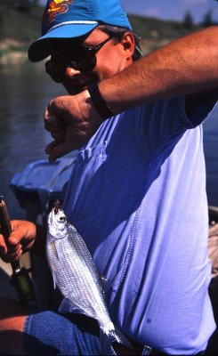 July, 1997 --- Red Deer and Bow Rivers; Cypress Hills, Sask.