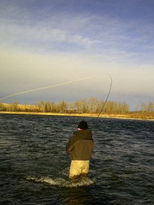 March 3, 2012 --- Bow River, Alberta