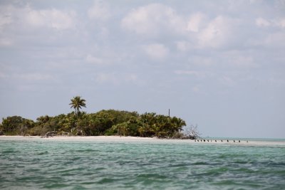 g4/19/362319/3/142407740.D8G4jYs6.jpg