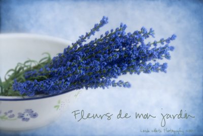 Flowers Blue