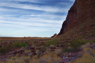 Palm Canyon