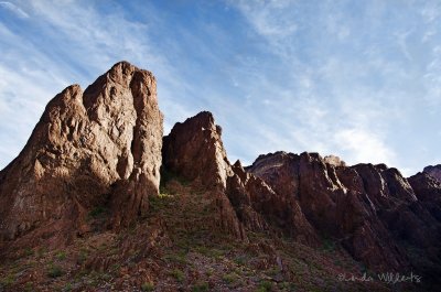 Palm Canyon