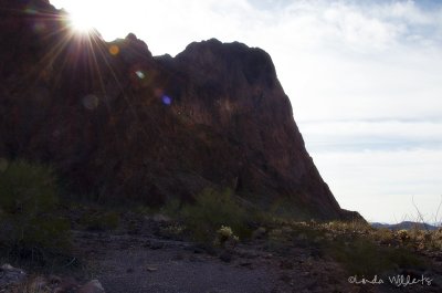 Palm Canyon