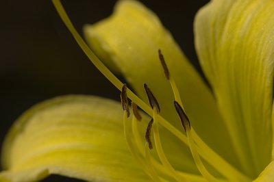 Butchart Gardens