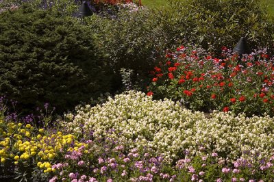 Butchart Gardens