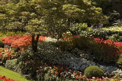 Butchart Gardens