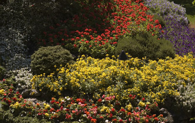 Butchart Gardens