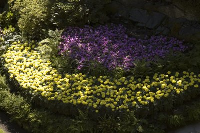 Butchart Gardens