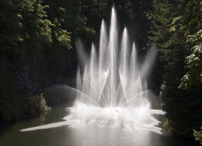 Butchart Gardens