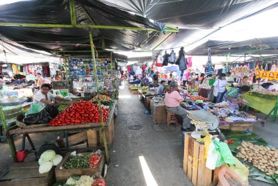 IMG_5300.jpg