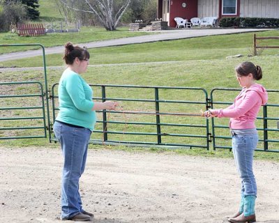 Demonstrating the Steering Game