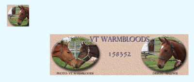 VT Warmbloods: Signature and Avatar on Forum Background