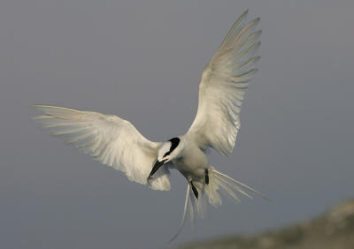 Air brakes on