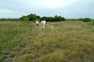 Walking roughly parallel to the west side. The pond is in the distance.