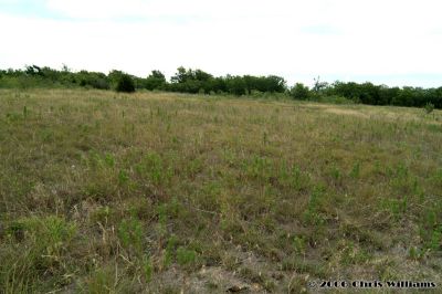 Looking toward east side. The line of trees is the border.