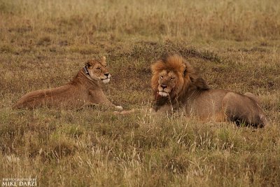 Tanzania__0050.jpg