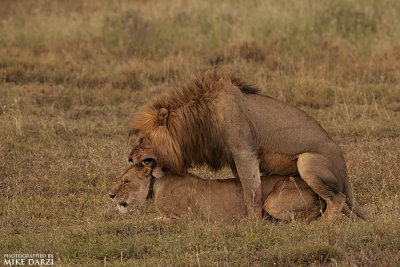Tanzania__0066.jpg