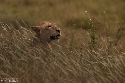 Tanzania__0546.jpg