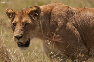 Tanzania__0750.jpg
