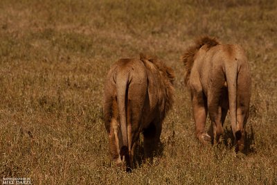 Tanzania__0871.jpg