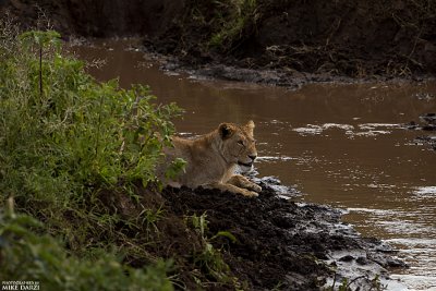 Tanzania__0961.jpg