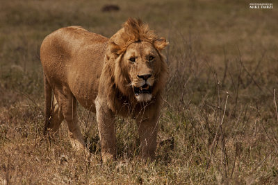 Tanzania__0745.jpg