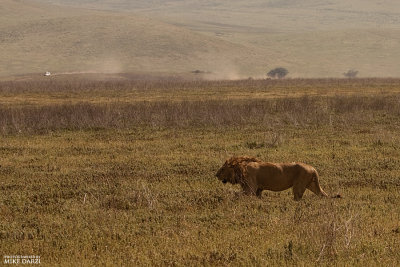 Tanzania__0874.jpg