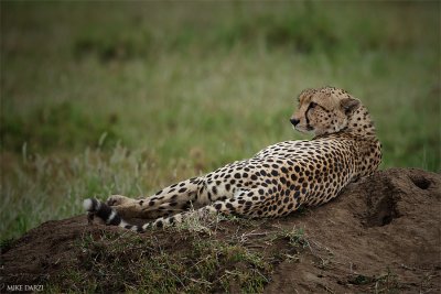 Tanzania__0297.jpg