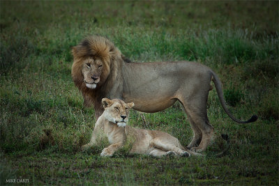 Tanzania__0335.jpg