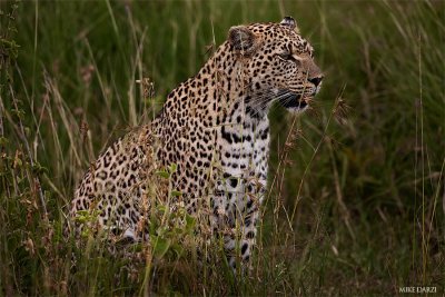 Tanzania__0347.jpg