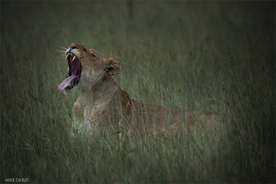 Tanzania__0611.jpg