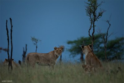 Tanzania__0638.jpg