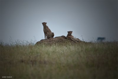 Tanzania__1575.jpg