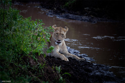 Tanzania__0975.jpg