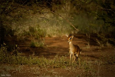Tanzania_3674.jpg