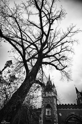Budapest-405_HDR.jpg
