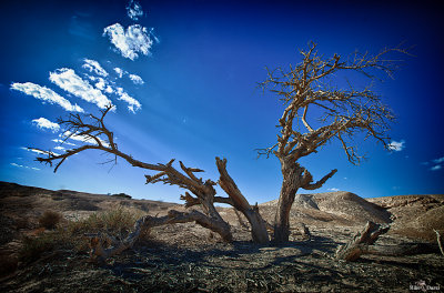Machtech-344_HDR-Edit.jpg