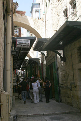 IMG_5100.jpg