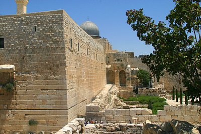 IMG_5135.jpg