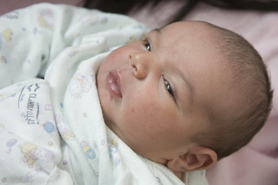 Hanit-Baby
