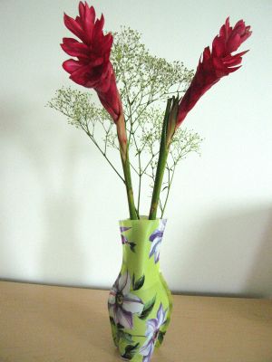 pic 103.jpg