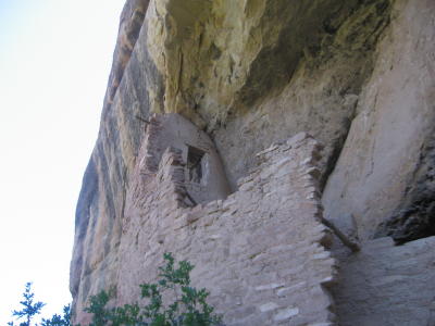 Mesa Vera Spruce Tree House dwellings