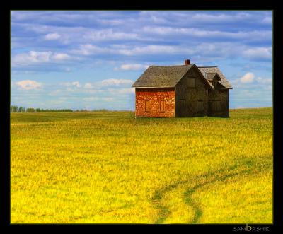 2006-May-07-033-Velvia-Crop.jpg