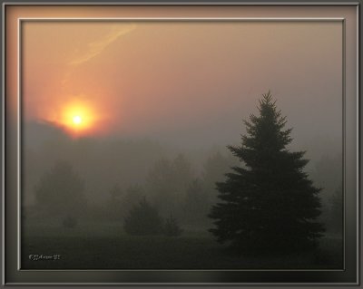 Foggy Sunrise  by Judyjo