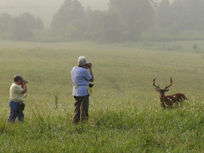 Lucy & Cathy Bag A Buck
That's our own Lucy Elmore and Cathy Waters photographing a big buck in Cades Cove this past August. That was a special day, showing my good friends the wonders of Cades Cove, and the deer and bear were most cooperative. Watching my friends having a good time with the deer makes this one of my favorites.