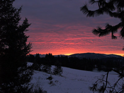 Winter Sunrise  by Sharon Engstrom